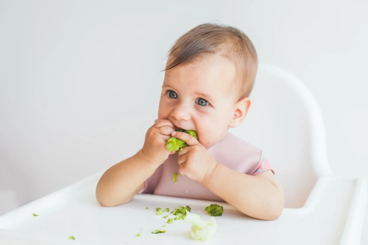 Alimentação